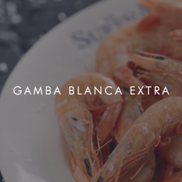 Gamba blanca extra
